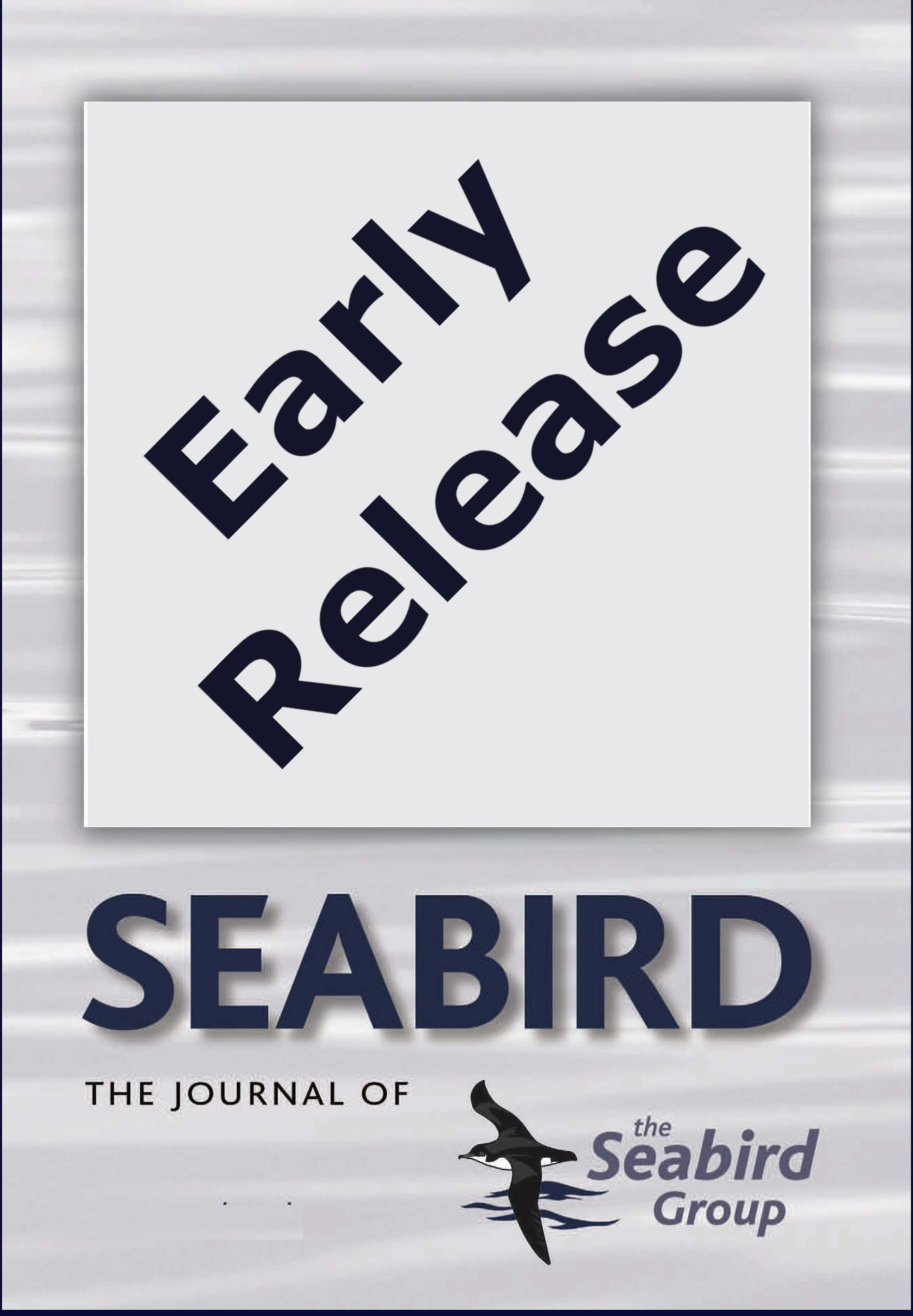 Seabird 38